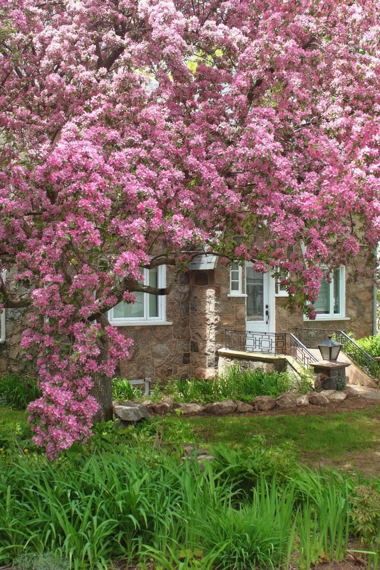 Rester Vivant Chambres D'Hotes Сен-Жан-Пор-Жолі Екстер'єр фото